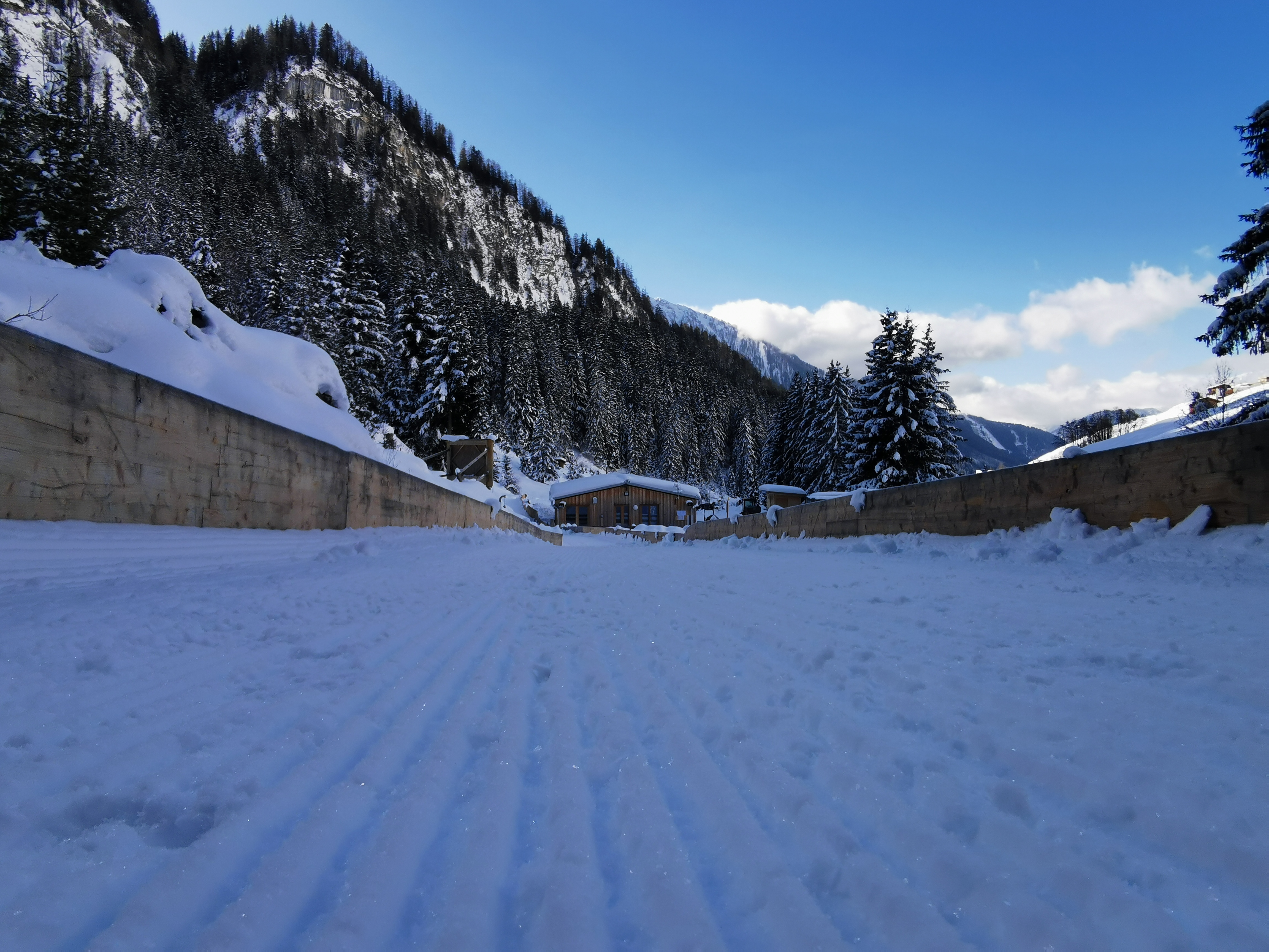 1_rodelsportzentrum_rodelbahn.jpg