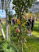 csm_vorstellung_hilbersolar_03-bild-da_b5502df30d.jpg