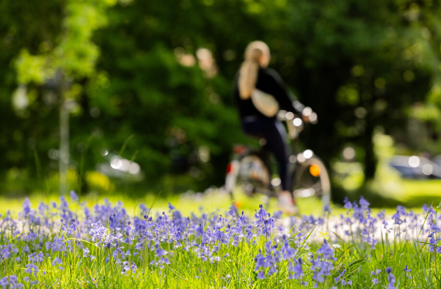 ONILNE: Dritte Orte – Räume für Begegnung und Innovation, erfolgreiche Beispiele aus Gemeinden